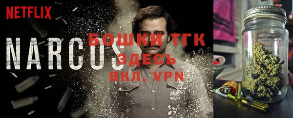 mdpv Белокуриха
