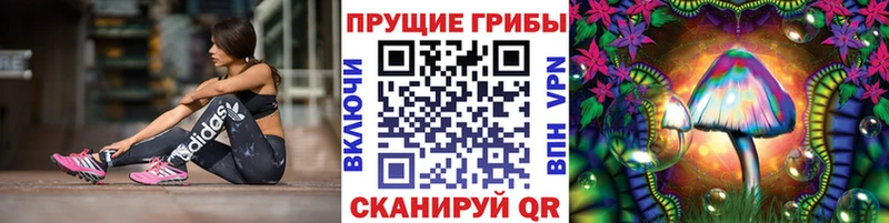 Псилоцибиновые грибы Cubensis  Бородино 